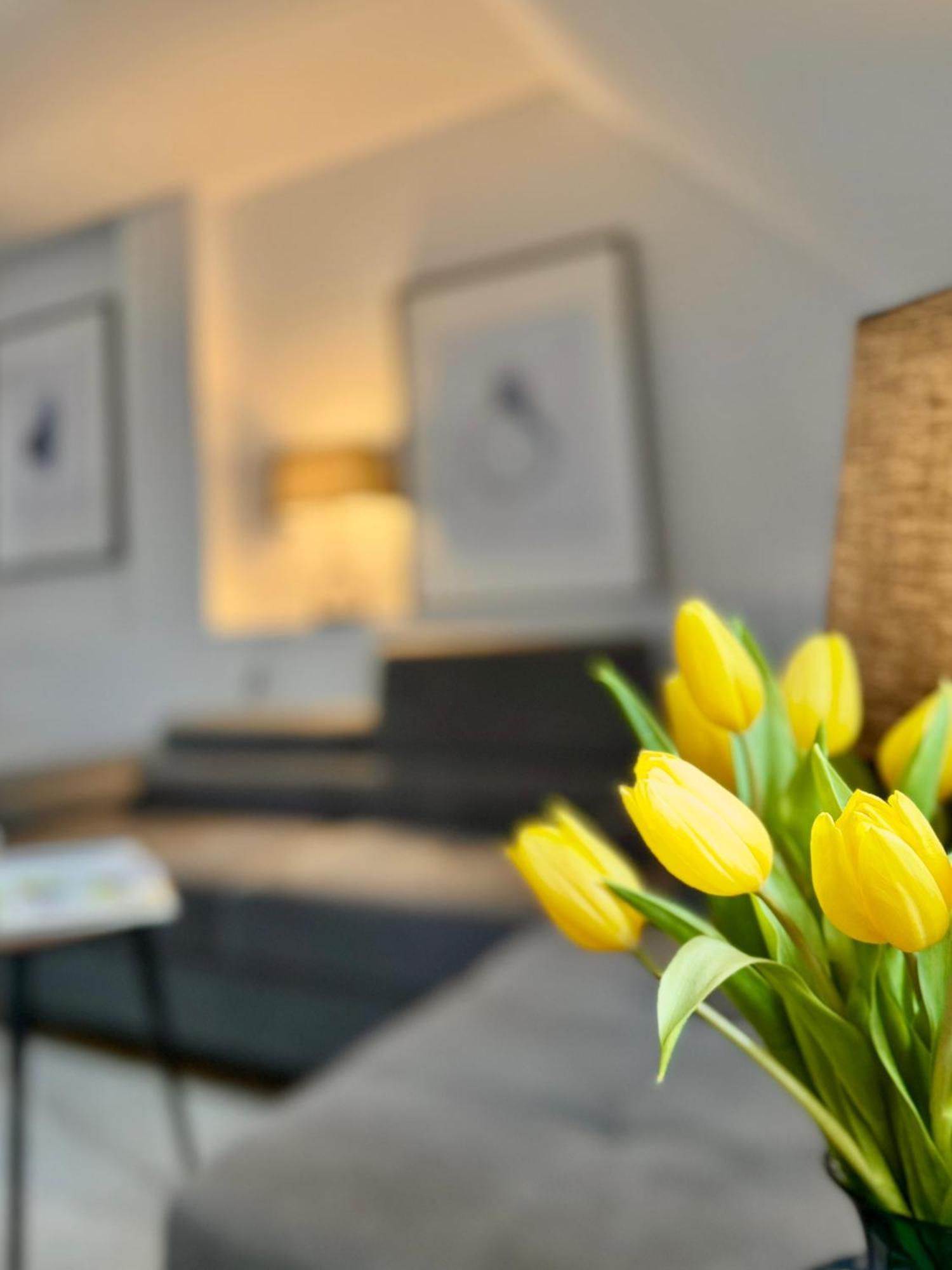 Apartament Pietrowy W Centrum Klodzka Z Darmowym Parkingiem Klodzko Ngoại thất bức ảnh